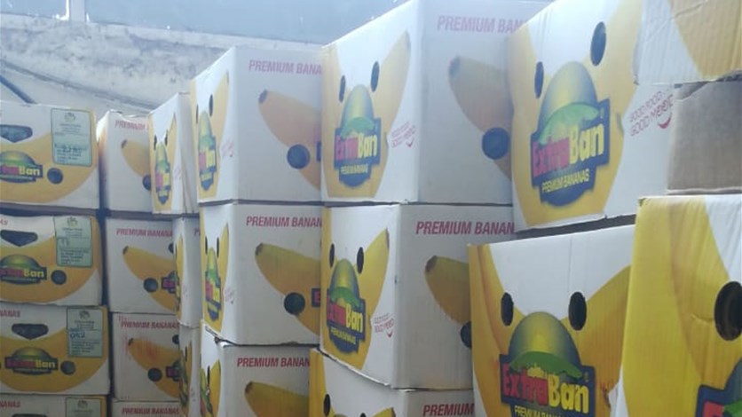 ضبط كمية من الموز الصومالي المهرّب في طرابلس