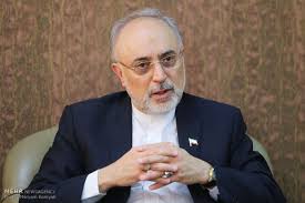 رئيس منظمة الطاقة الذرية الايرانية: محطة بوشهر توفر ما يعادل 11 مليون برميل من النفط