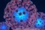 سلطات قطر تسجل 88 إصابة جديدة بفيروس كورونا