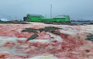 ثلوج دموية في القطب الجنوبي