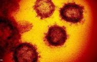 AFP: ارتفاع عدد الإصابات بفيروس كورونا في العالم إلى أكثر من 800 ألف مصاب