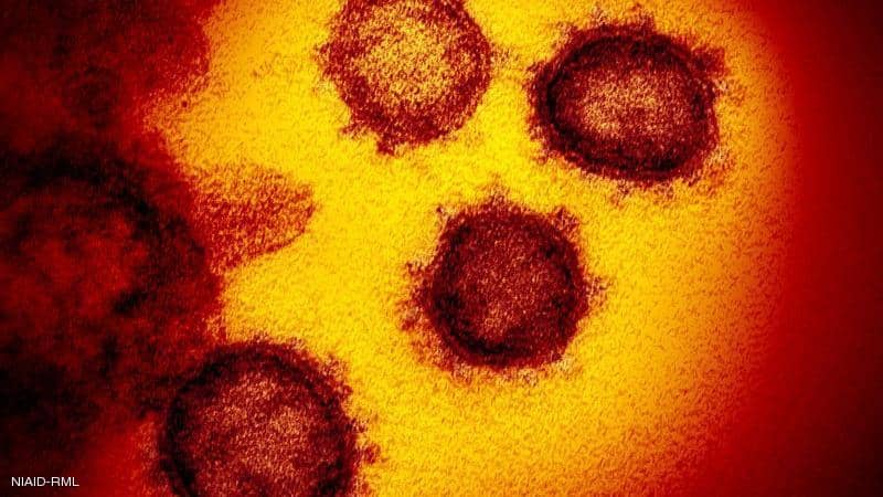 ارتفاع عدد الاصابات بفيروس كورونا في لبنان الى 318