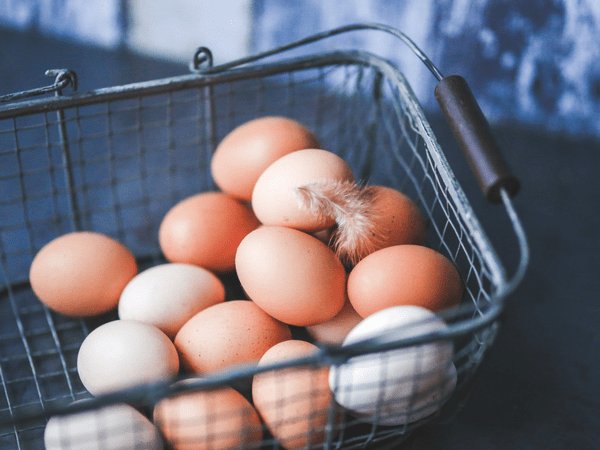 كيف يمكنكم التعرف على صلاحية البيض؟