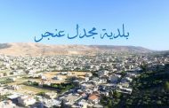 الدفعة الاخيرة من نتائج فحوصات الـ pcr في مجدل عنجر: اصابتان جديدتان بفيروس كورونا