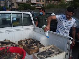 ملاحقة بائعي السمك الملوث في بيروت بتوجيهات من المحافظ