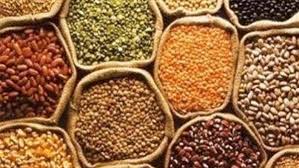 العلماء يطرحون حمية غذائية لحماية مناخ الأرض