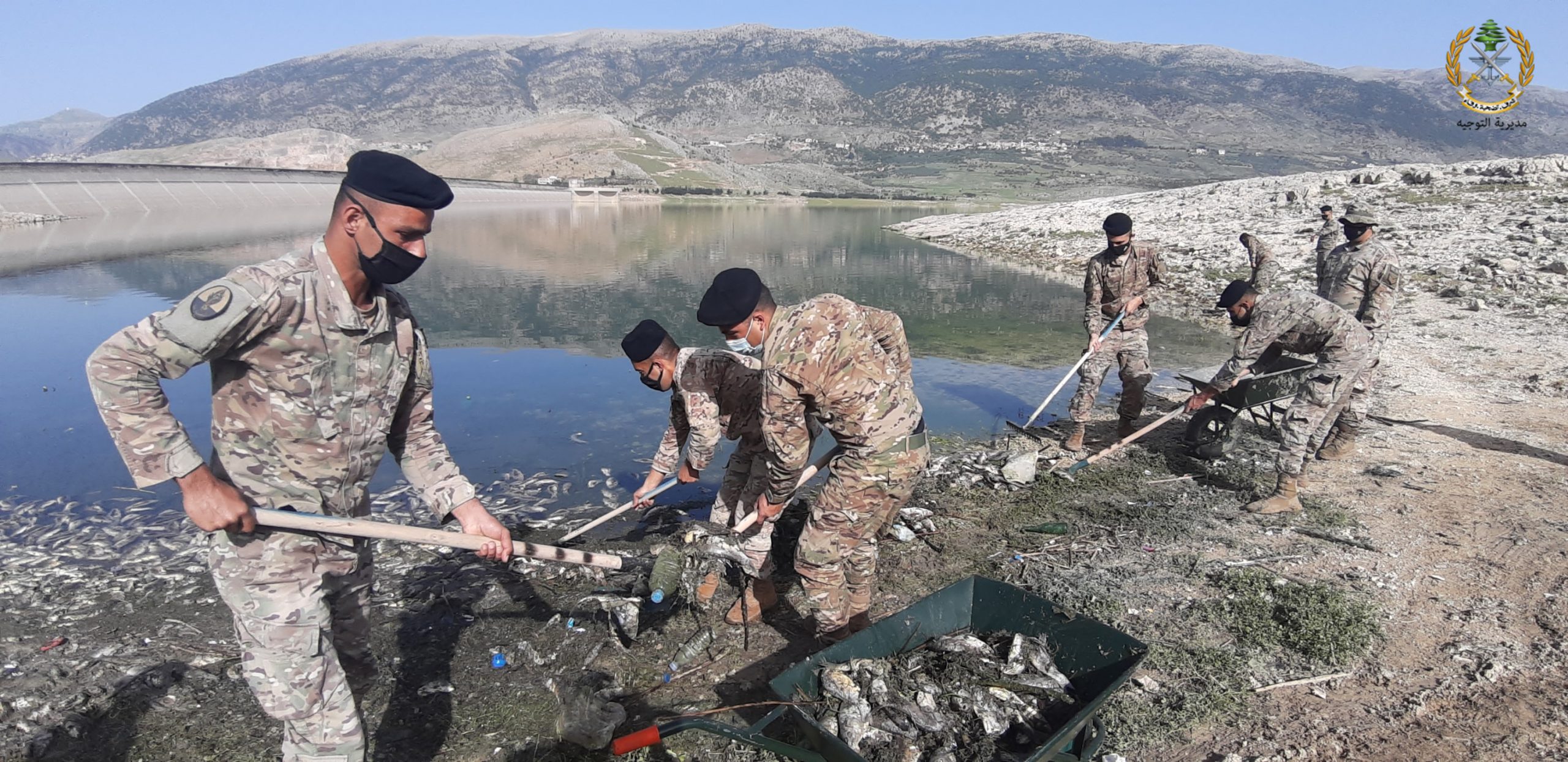 الجيش: مواصلة العمل على تنظيف ضفة القرعون من الأسماك النافقة