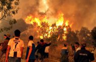 حصيلة الوفيات جراء الحرائق في 3 ولايات شرقي الجزائر ترتفع إلى 37 وفاة