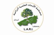 مصلحة الابحاث الزراعية طلبت من المزارعين مكافحة فأر الحقل واجراء كامل المعاملات الزراعية