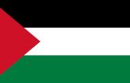 الصحة الفلسطينية: ارتفاع حصيلة العدوان المستمر على غزة الى 31 شهيدًا بينهم 6 أطفال و3 نساء
