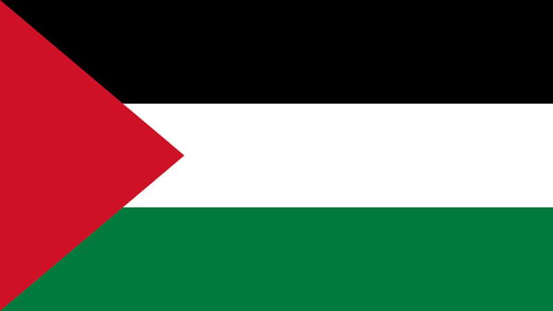 الصحة الفلسطينية: ارتفاع حصيلة العدوان المستمر على غزة الى 31 شهيدًا بينهم 6 أطفال و3 نساء