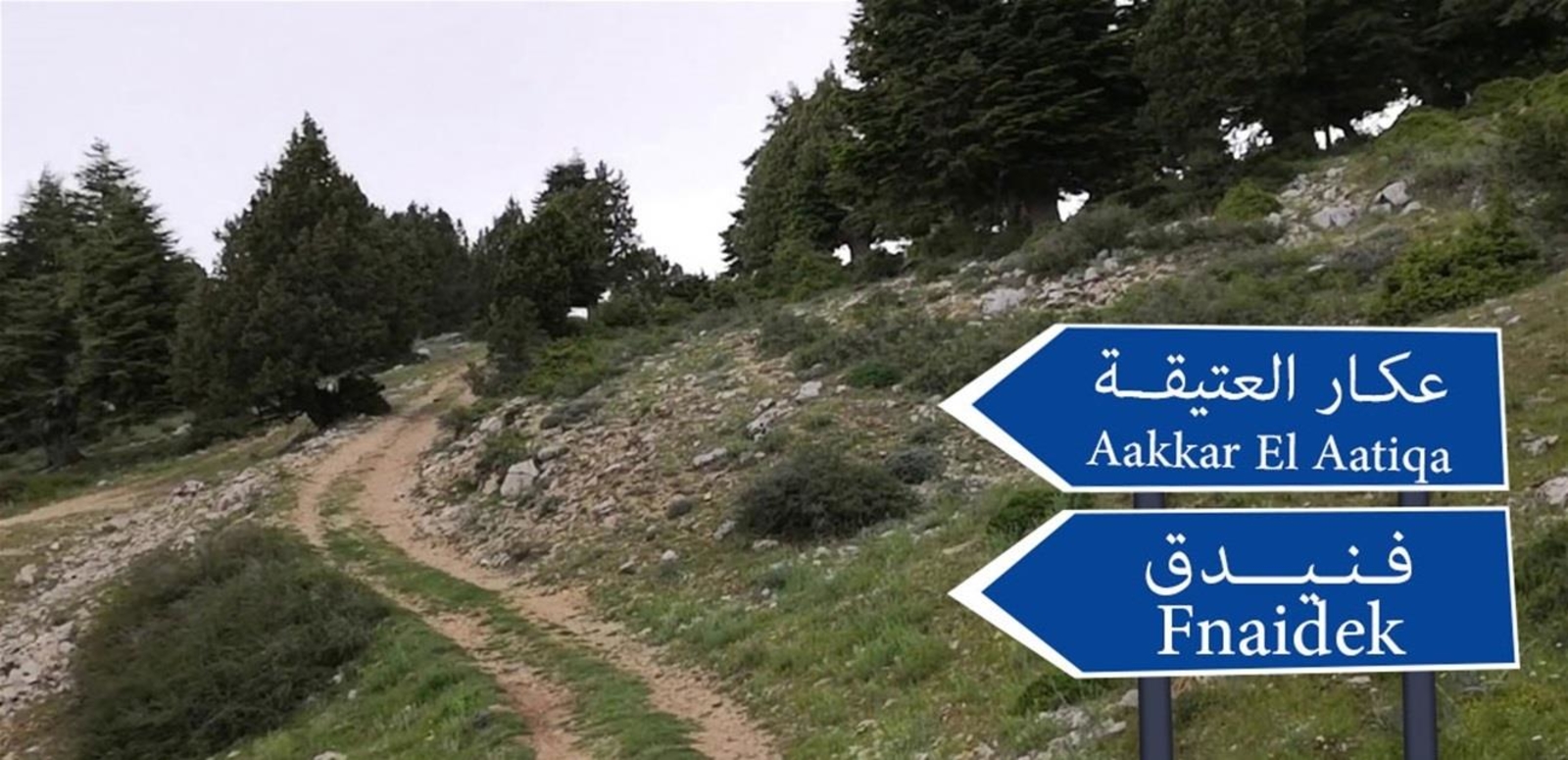 مداهمات وتوقيفات في عكار... اليكم ما حصل