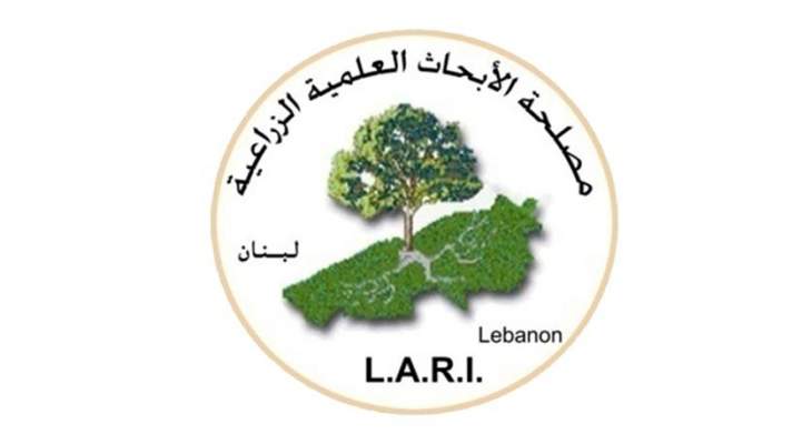 مصلحة الأبحاث العلمية تحدثت عن تهويل في نسب درجات الحرارة