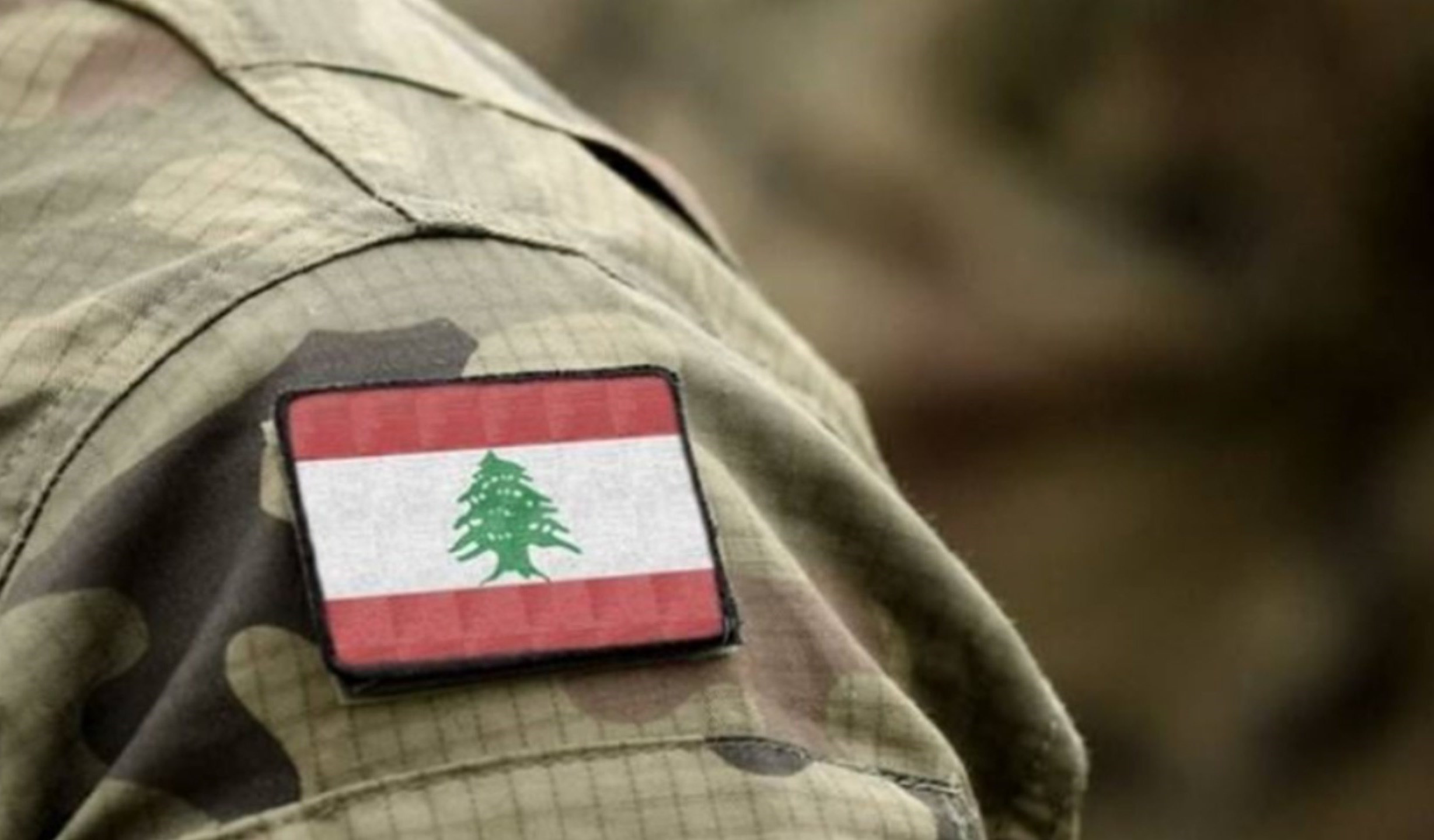 الجيش دهم وضبط أسلحة حربية وذخائر في حي الشراونة – بعلبك