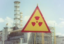 “كائن حي” يتحدى الإشعاع النووي في قلب تشيرنوبل!